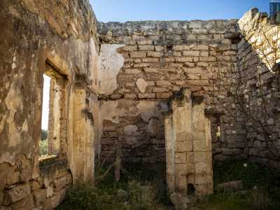 ...sul piano superiore invece, al quale accediamo tramite una scala esterna, il soffitto risulta interamente crollato e dal pavimento crescono erbacce e persino un piccolo mandorlo in fiore